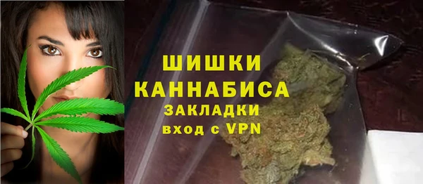 хмурый Абаза