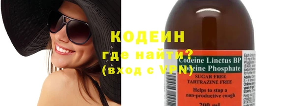 хмурый Абаза
