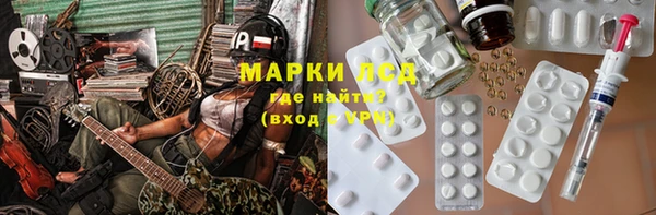 хмурый Абаза
