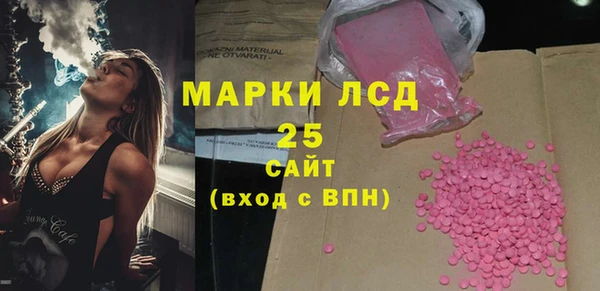 хмурый Абаза