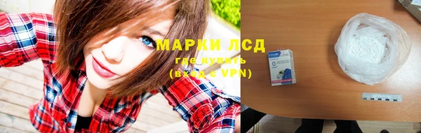 хмурый Абаза